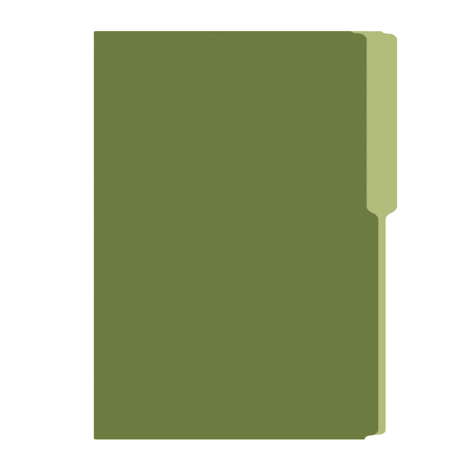 Folder color verde olivo irasa