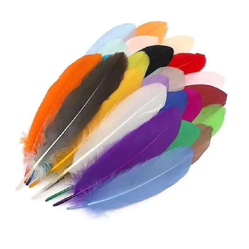 Plumas de olores (11-15CM) 60 plumas