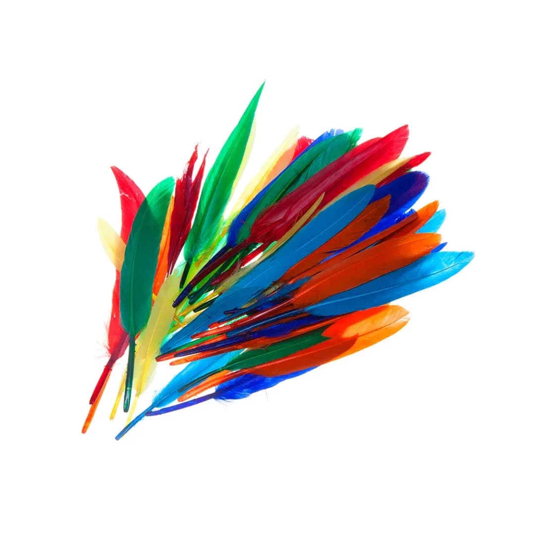 Plumas s 24/1 colores surtidos